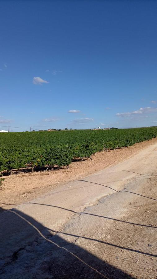 Alojamiento Rural Casa Los Arenales Córdoba Kültér fotó